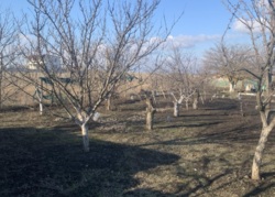 ���� -��� ���� 5