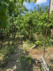 Будинок фото 3 Будинок фото 3