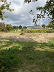 � ������� ���������� ������� � ��� ������������ ���� 19