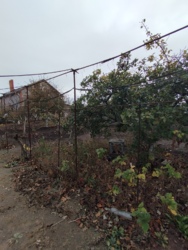 Дом на Ветеране фото 11 Дом на Ветеране фото 11