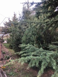 Мой дом - моя крепость! Дом для большой семьи. фото 6 Мой дом - моя крепость! Дом для большой семьи. фото 6