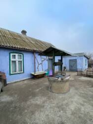 ������� ���� 15