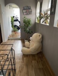 ��� � 5�� �� ����������� ���� 19