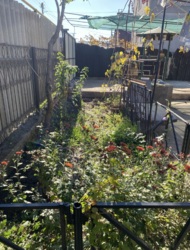 ��� � 5�� �� ����������� ���� 20