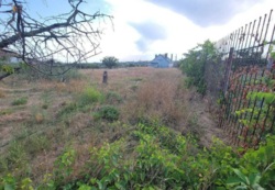 ������� ������������� ���� 1