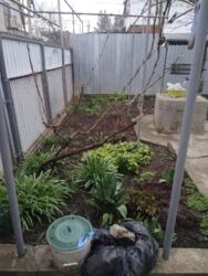 ��� � ��������� ���� 3