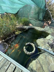 ��������� �������� �������,�.������������ ���� 20