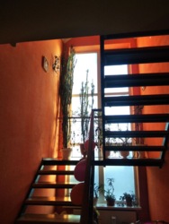 ��������, ���������� ��� � ��������� ������ ���� 15