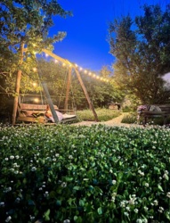 ������� ���� 17