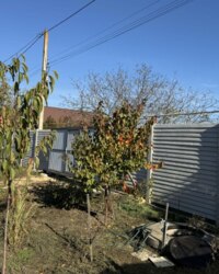 ���� �� �������� ���� 4