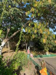 Гарний будинок в Сажійці фото 11 Гарний будинок в Сажійці фото 11