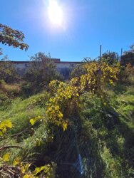 Ветеран будинок з комунікаціями біля вул. Дукова фото 10 Ветеран будинок з комунікаціями біля вул. Дукова фото 10