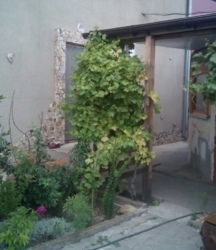 Дом в Александровке фото 12 Дом в Александровке фото 12