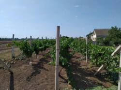 �������� ������� �� ����� ������ � ������ ���� 9