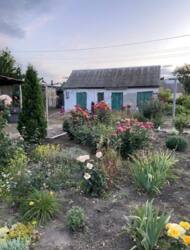 ������� ������ ������. ������� ������ ���� 4