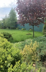 ��� � ��������� �� ����������� 15 �� ���� 1