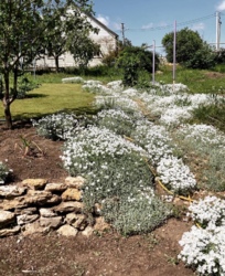 Продам хороший дом с ремонтом фото 6 Продам хороший дом с ремонтом фото 6