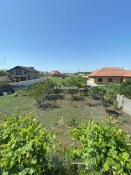 ��� ����� ������ ���� 13