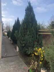 Мой дом - моя крепость! Дом для большой семьи. фото 4 Мой дом - моя крепость! Дом для большой семьи. фото 4