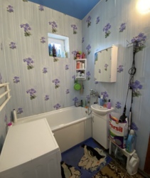 ��� ����� ������ ���� 12