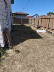 ĳ����� ��� ���� � �����������. ���� 2