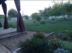 ������ ��� ��������� ���� 12