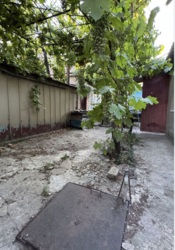 ������� � ������������ ���� 1