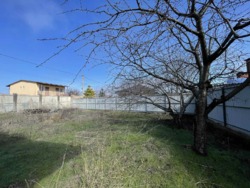 ��� -���� � ������� �������� ���� ���� 12