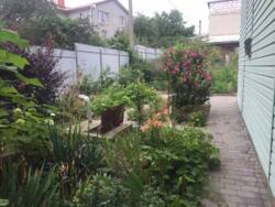 ���� � �������� ����� ���� 2