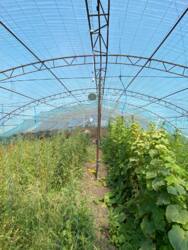 Продається будинок в затишному місці. фото 4 Продається будинок в затишному місці. фото 4