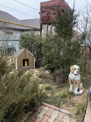 ������ ���� � ��������� ������. ���� 18