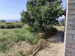 ��� ����� � ������ � ����������� ���� 18