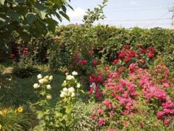 Капітальний будинок у передмісті Чорноморська фото 1 Капітальний будинок у передмісті Чорноморська фото 1