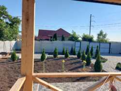 ������ ����� ��� � �������� ��������������� ���� 9