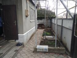 ��� � ��������� ���� 5