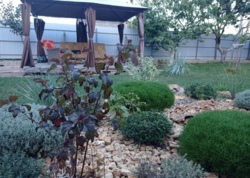 ������ ��� ��������� ���� 11