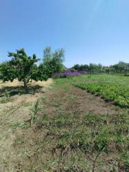 ��� ������������� ���� 11