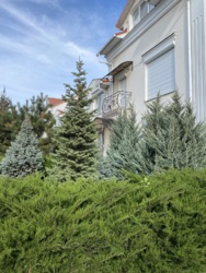 ��� ��������� �������! ���� 7