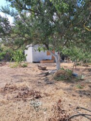 � ������� ������� ��� ����� ���� 3