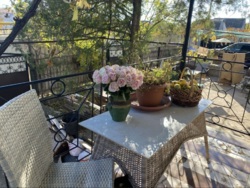 ��� � 5�� �� ����������� ���� 4