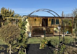 ���� �� �������� ���� 3