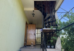 ���� �� �����(������������) ���� 5