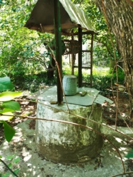 ��� ������������� ���� 5