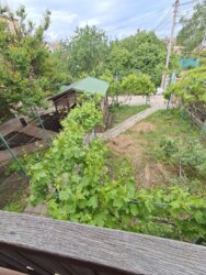 ���� ��� ������� ��������� ����� � ����? ���� ��� ���� ����� ����������! ���� 12