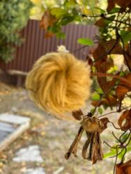 Гарний будинок в Сажійці фото 7 Гарний будинок в Сажійці фото 7