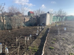 ���� -��� ���� 3