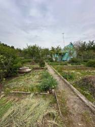 � ������� ���� ��� ����� ���� 8