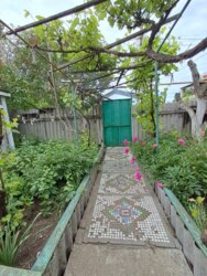 ��������� ������� ���� � ��� '��������' ���� 17