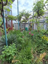 ��������� ������� ���� � ��� '��������' ���� 19