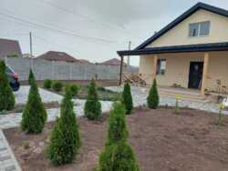 ������ ����� ��� � �������� ��������������� ���� 8